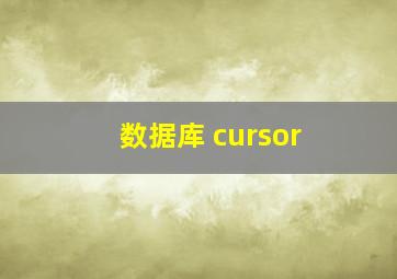 数据库 cursor